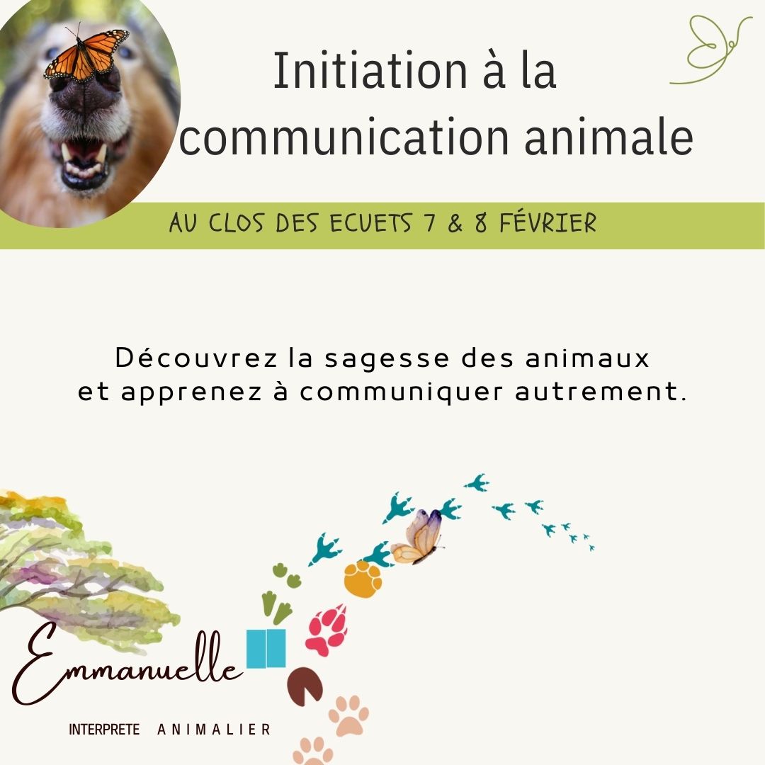 communication-animale-le-clos-des-ecuets-attignat